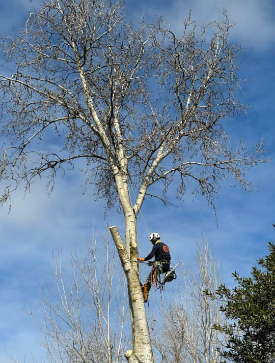 Trabajo Acceso Vertical 8